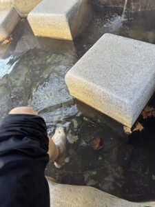 山口川音の足湯