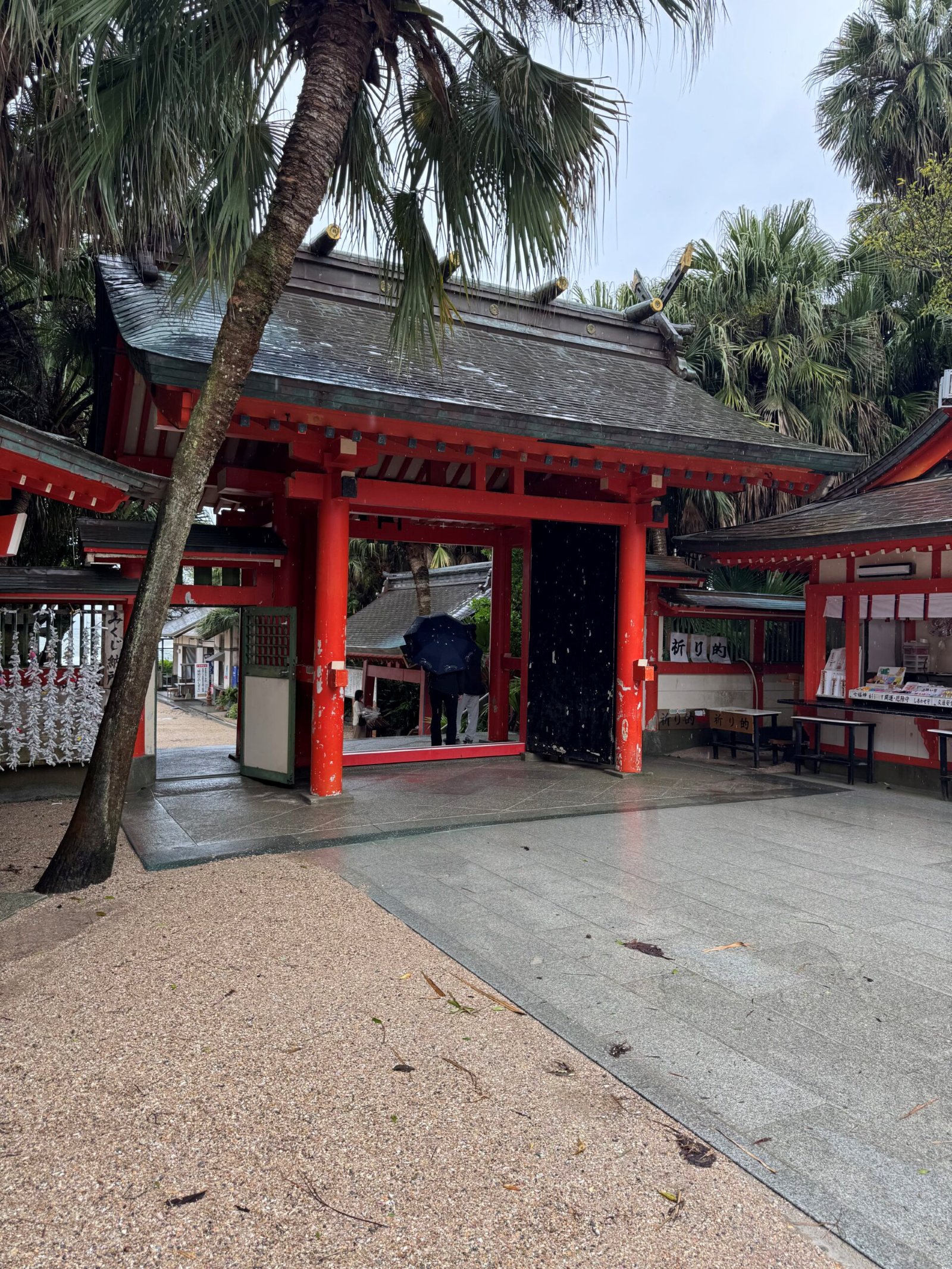 雨に濡れた青島神社の朱塗りの門。ヤシの木が茂り、傘をさした参拝者が歩いている
